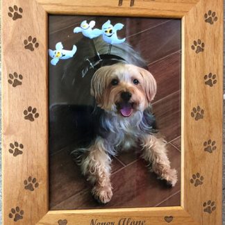 Pet Frame